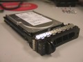 73GB 15K U320 SCSI 80Pin Hard Drive & Tray HC486 ST373454LC