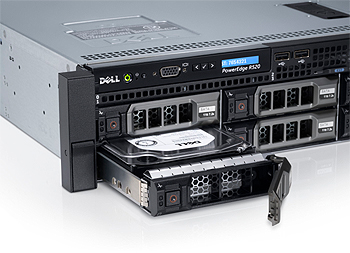 Dell PowerEdge R520 Server H310 Renewed 32GB 2X E5-2450 16 Cores 2X HDD Trays 
